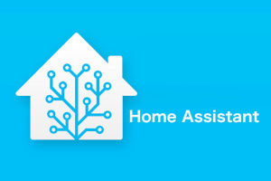 Home assistant